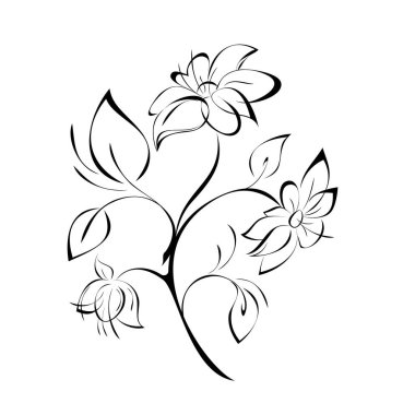 Beyaz arka planda yaprakları ve çiçekleri olan dekoratif dal