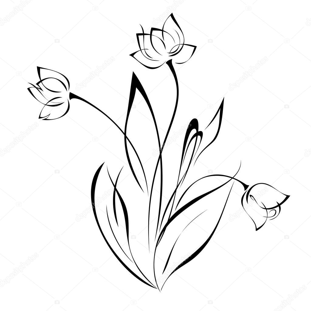 three flower buds on stems with leaves in black lines on white background