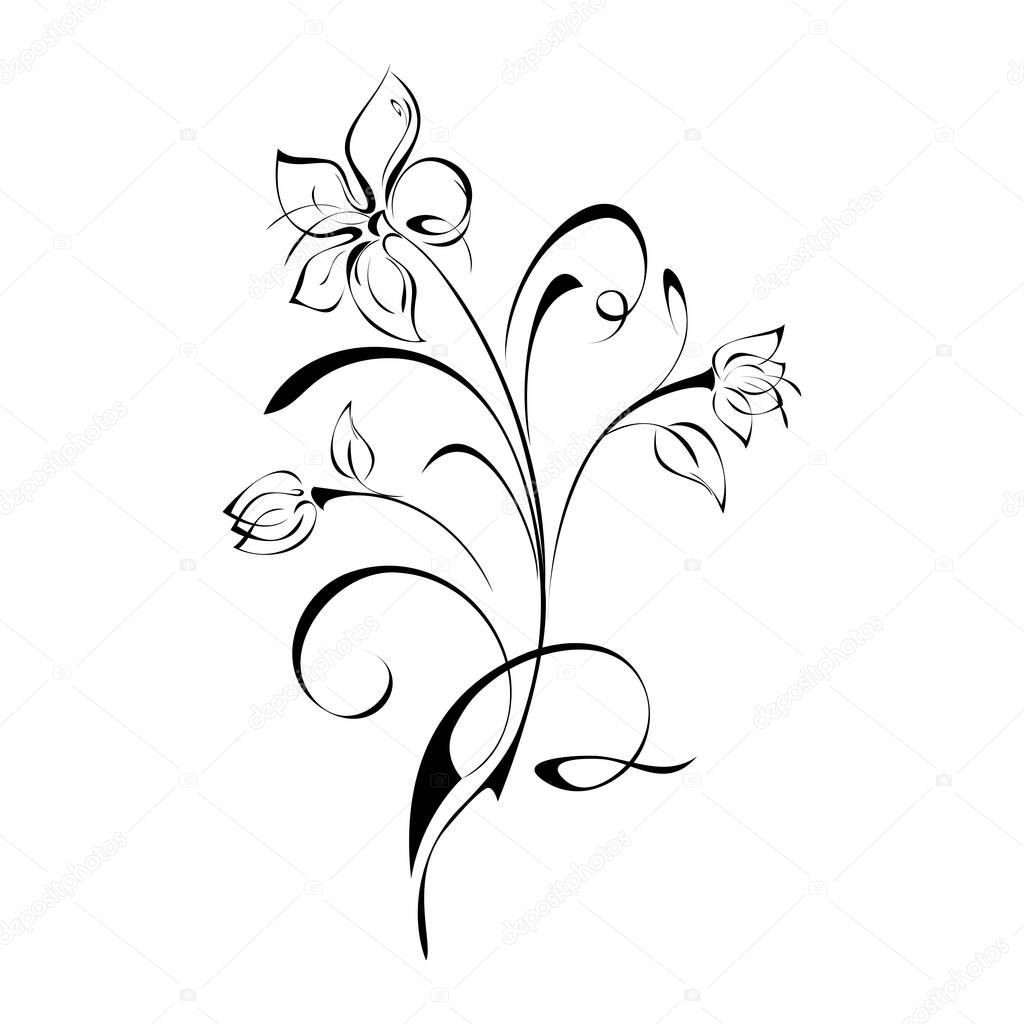 decorative flower with buds on stem with curls in black lines on white background