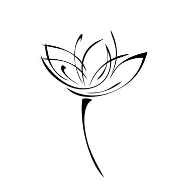 Yaprakları olmayan kısa saplı bir çiçek. grafik dekor