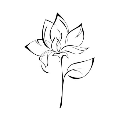 Sapında siyah çizgiler ve beyaz arkaplan üzerinde yaprak olan stilize çiçek