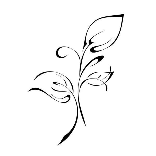 Stylized Twig Three Leaves Curls Black Lines White Background — 图库矢量图片
