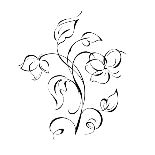 Two Stylized Flowers Stems Leaves Curls Black Lines White Background — Image vectorielle