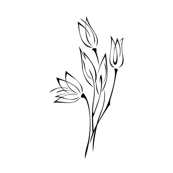 Three Flower Buds Stems Leaves Graphic Decor — Vetor de Stock