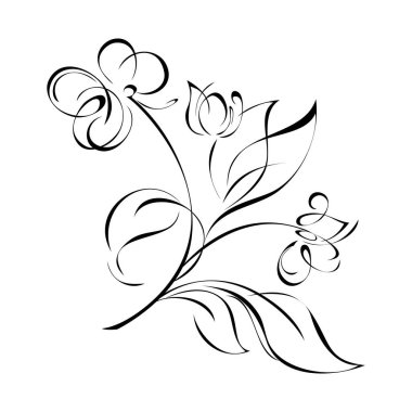 decorative twig with flowers, one Bud and leaves in black lines on a white background