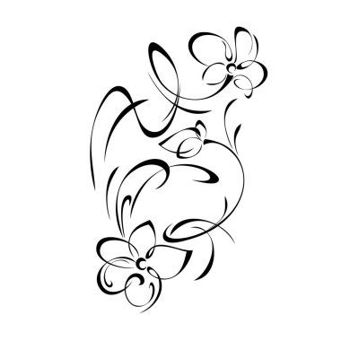 abstract pattern with flowers and curls in black lines on white background