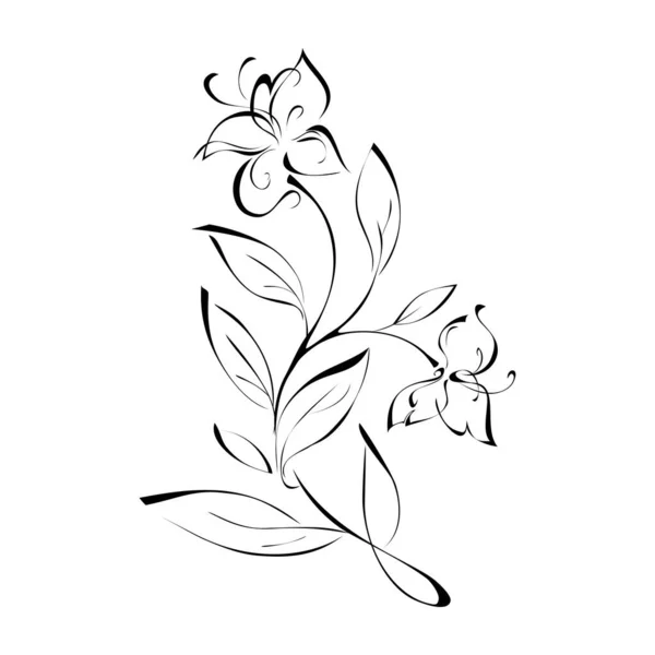 白い背景に黒い線で2つの花と葉で装飾された小枝 — ストックベクタ