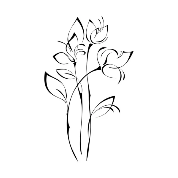 Three Stylized Flowers Long Stems Leaves Black Lines White Background — ストックベクタ