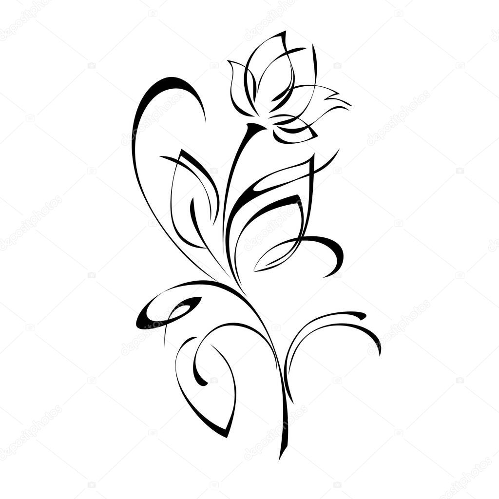 stylized flower on stem with leaves and curls in black lines on white background