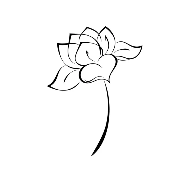 Egy Stilizált Virágzó Virág Egy Rövid Száron Levelek Nélkül Grafikus — Stock Vector
