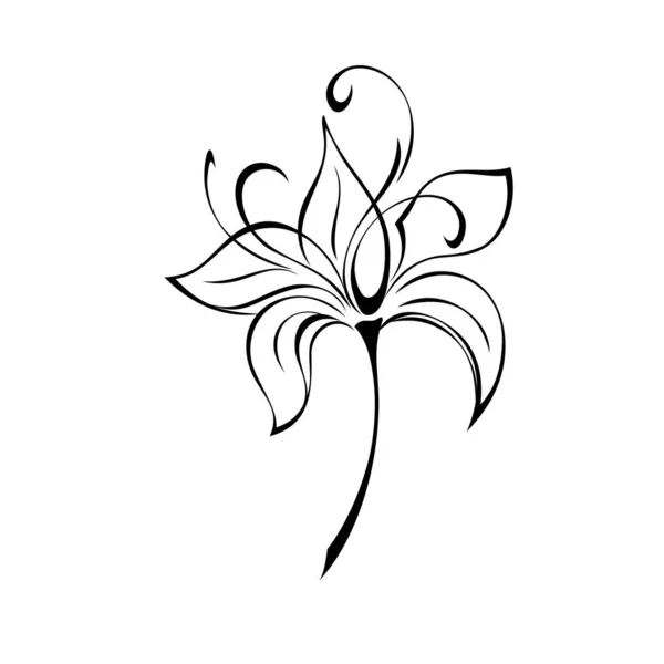 Ένα Στυλιζαρισμένο Ανθισμένο Λουλούδι Ένα Κοντό Μίσχο Χωρίς Φύλλα Γραφική — Διανυσματικό Αρχείο