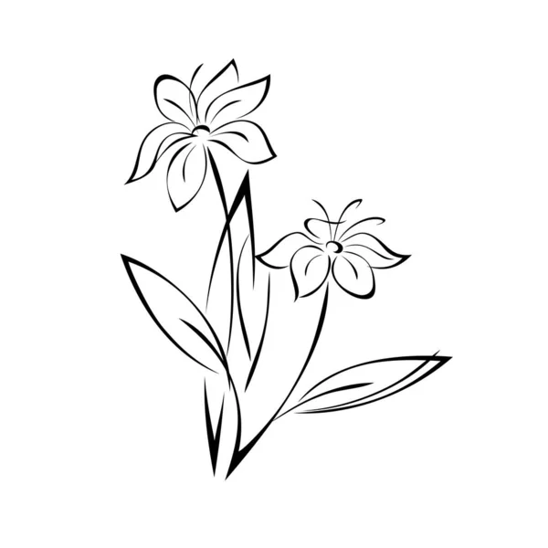 Two Stylized Blossoming Flowers Stems Leaves Graphic Decor — Vetor de Stock