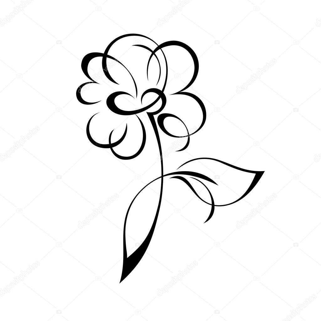 one blooming flower with large petals on a short stem with one leaf. graphic decor