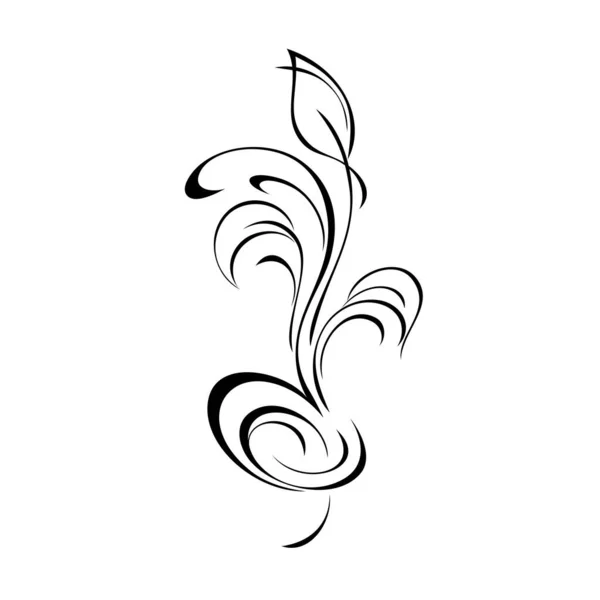 Decorative Element Stylized Leaves Swirls Graphic Decor — Stock Vector