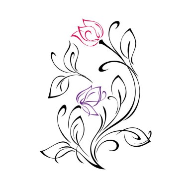 Yaprakları ve bukleleri olan iki kıvrımlı çiçek tomurcuğu. grafik dekor