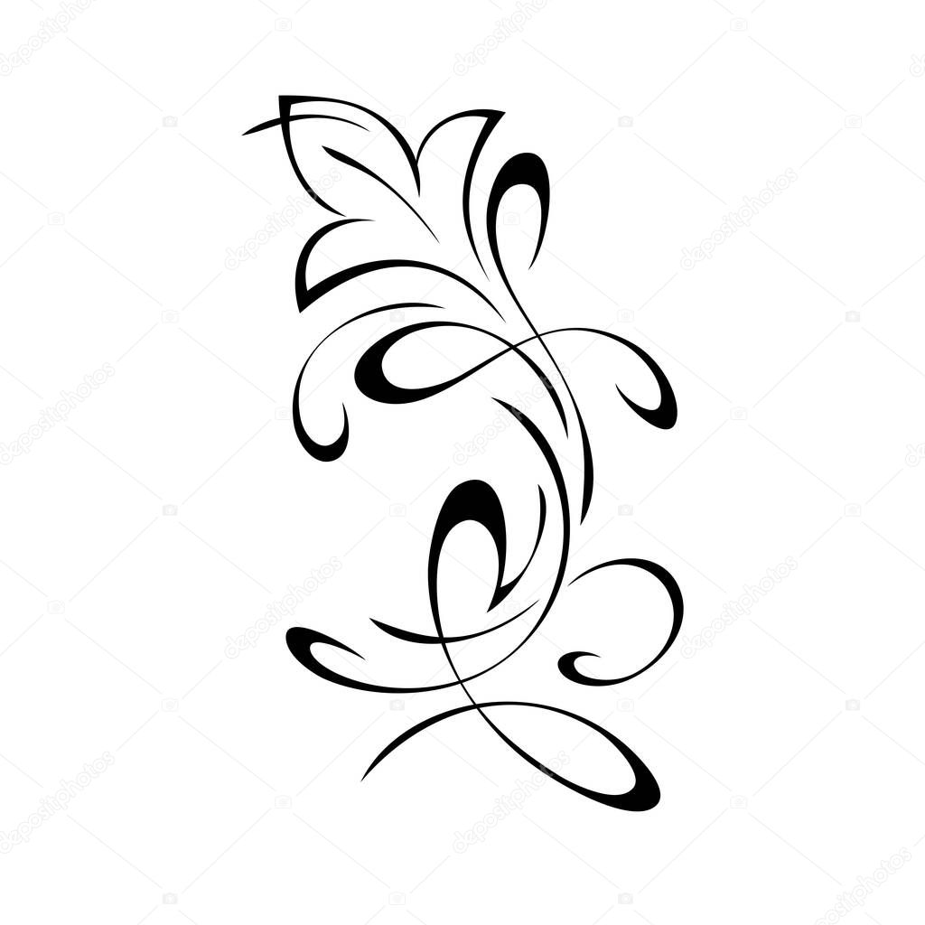 decorative element with stylized flower and vignettes. graphic decor