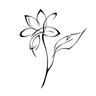 Kısa saplı ve tek yapraklı bir çiçek. grafik dekor