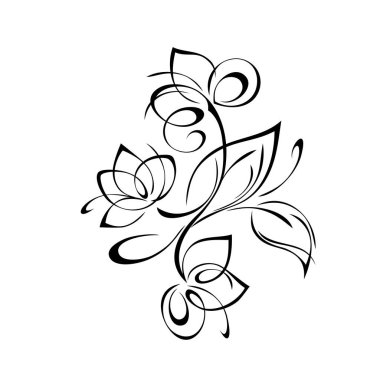 Yapraklı ve kıvrımlı saplı çiçekleri olan dekoratif bir element. grafik dekor