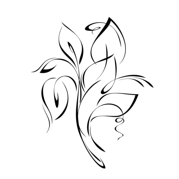 白い背景に黒い線で葉とカールを持つ様式化された小枝 — ストックベクタ