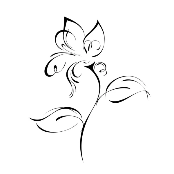 Στυλιζαρισμένο Λουλούδι Στέλεχος Φύλλα Μαύρες Γραμμές Λευκό Φόντο Εικονογράφηση Αρχείου