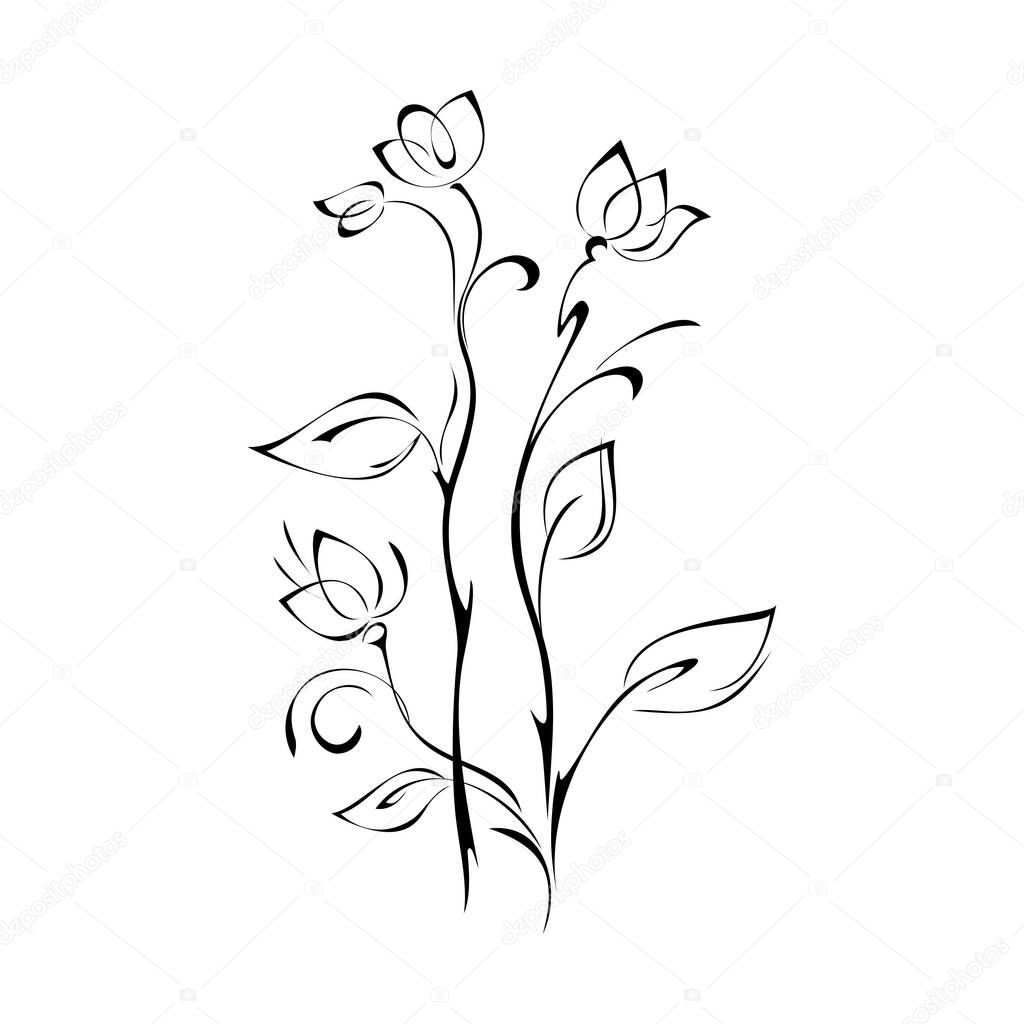 stylized flower buds on stems with leaves and curls in black lines on white background