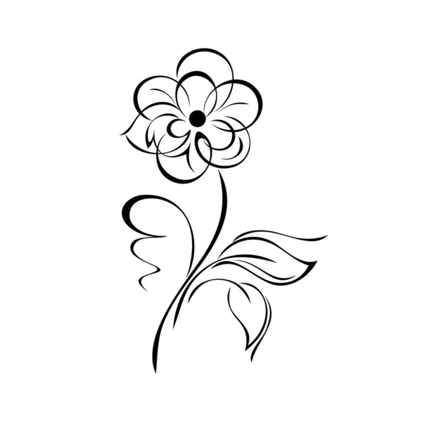 Ozdobny Kwitnący Kwiat Dużymi Płatkami Łodydze Liśćmi Lokami Wystrój Graficzny — Wektor stockowy