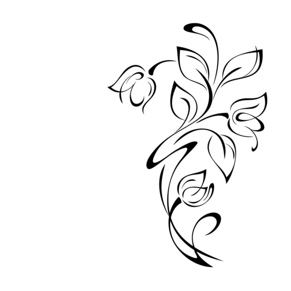 Rameau Décoratif Avec Boutons Floraux Stylisés Feuilles Tourbillons Décor Graphique — Image vectorielle