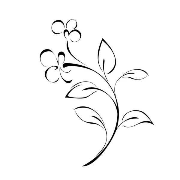 Zwei Kleine Blüten Stiel Mit Blättern Schwarzen Linien Auf Weißem — Stockvektor