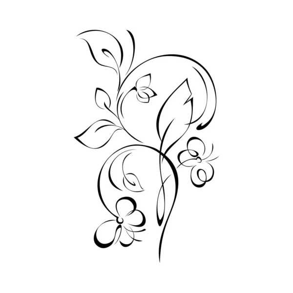 Stilizált Gallyak Levelekkel Virágokkal Fekete Vonalakban Fehér Alapon — Stock Vector