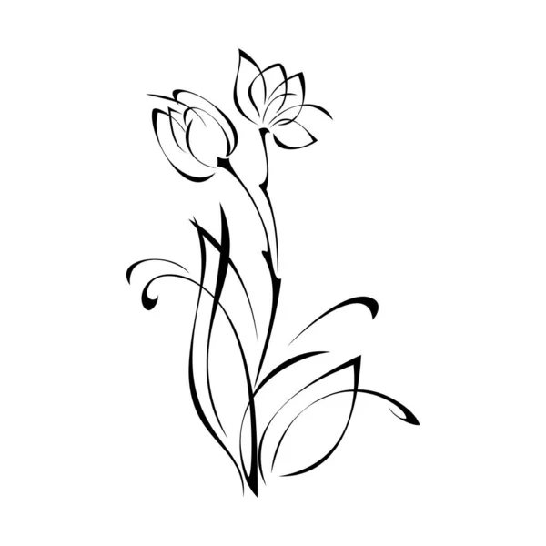 Stylized Twig Leaves Flowers Black Lines White Background — Stockvektor