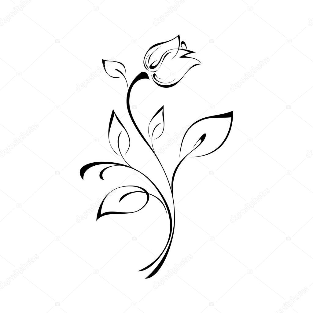 flower Bud on stem with leaves in black lines on white background