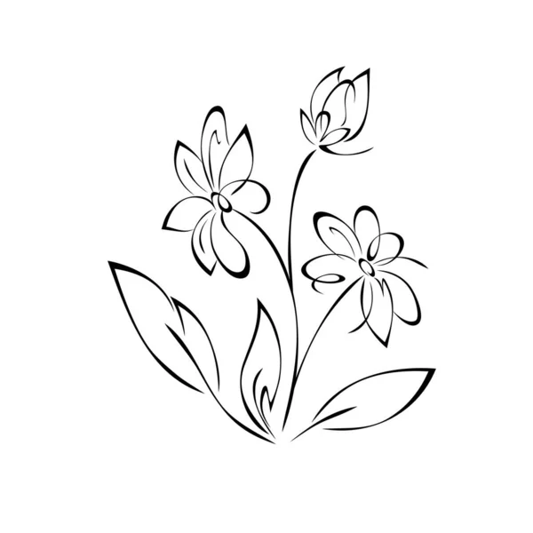Gałązka Stylizowanymi Kwitnącymi Kwiatami Liśćmi Wystrój Graficzny — Wektor stockowy