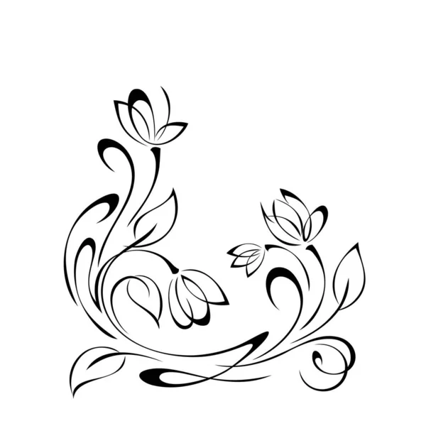 葉やカールを持つ茎に様式化された花芽を持つ装飾要素 グラフィック装飾 — ストックベクタ