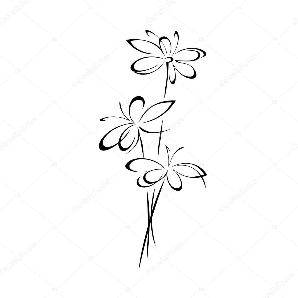 stylized bouquet of three blossoming flowers. graphic decor