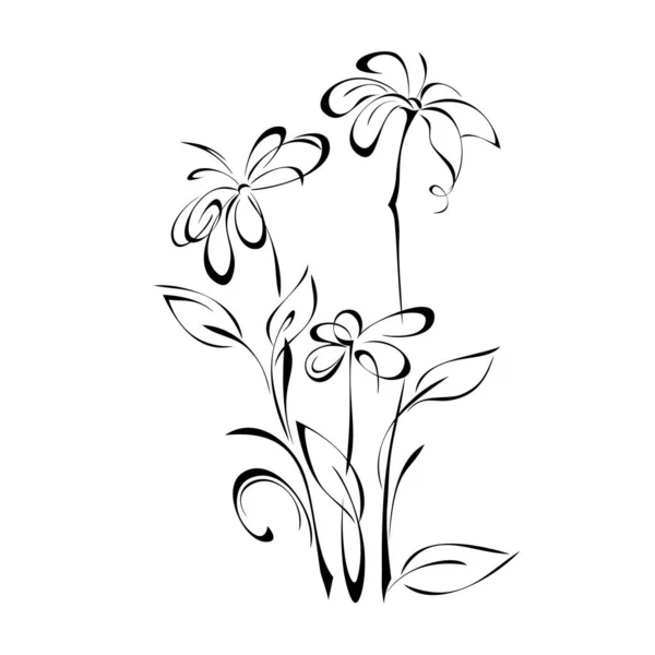 Drie Decoratieve Bloemen Stengels Met Bladeren Zwarte Lijnen Een Witte — Stockvector
