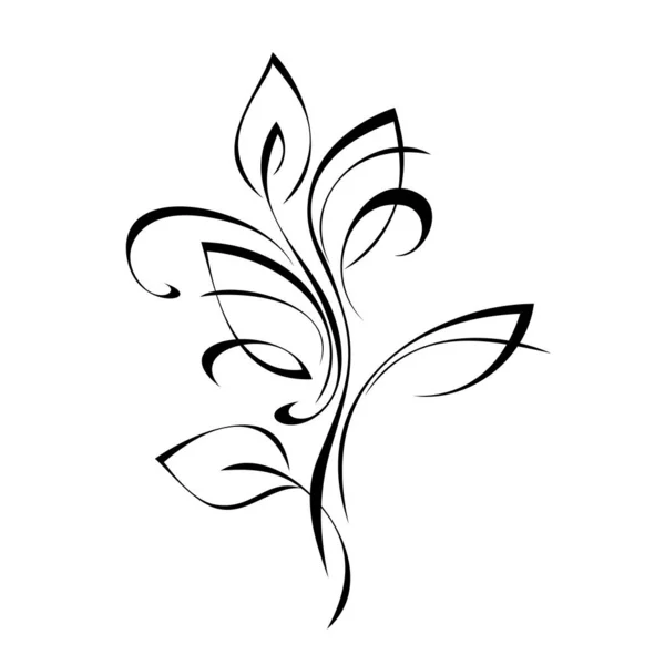 Dekorativer Zweig Mit Blättern Schwarzen Linien Auf Weißem Hintergrund — Stockvektor