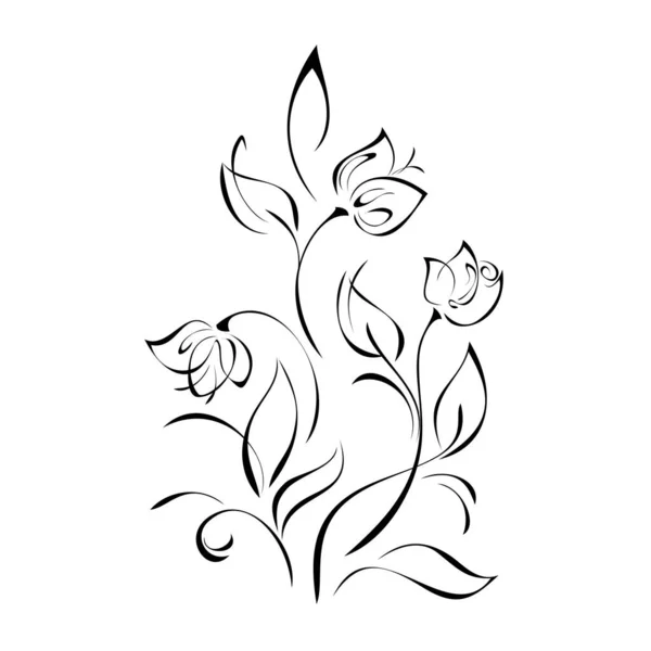 白い背景の黒い線で葉とカールを持つ茎に3つの様式化されたバラの花芽 — ストックベクタ