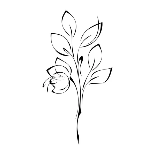 Ένα Μπουμπούκι Λουλουδιών Ένα Στέλεχος Φύλλα Μαύρες Γραμμές Λευκό Φόντο Εικονογράφηση Αρχείου
