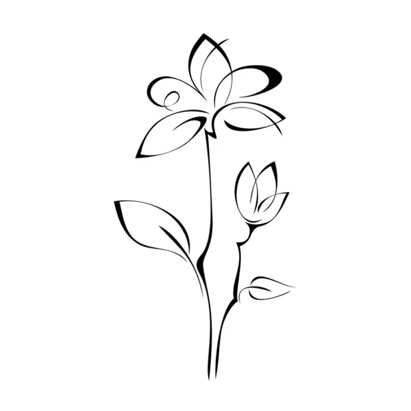 Στυλιζαρισμένο Λουλούδι Bud Μίσχους Φύλλα Μαύρες Γραμμές Λευκό Φόντο Royalty Free Διανύσματα Αρχείου