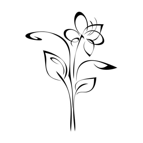 Stiliserad Blomma Stjälk Med Blad Svart Linjer Vit Bakgrund Stockvektor