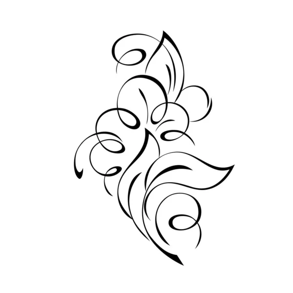 様式化された葉やカールを持つ装飾的な要素 グラフィック装飾 — ストックベクタ