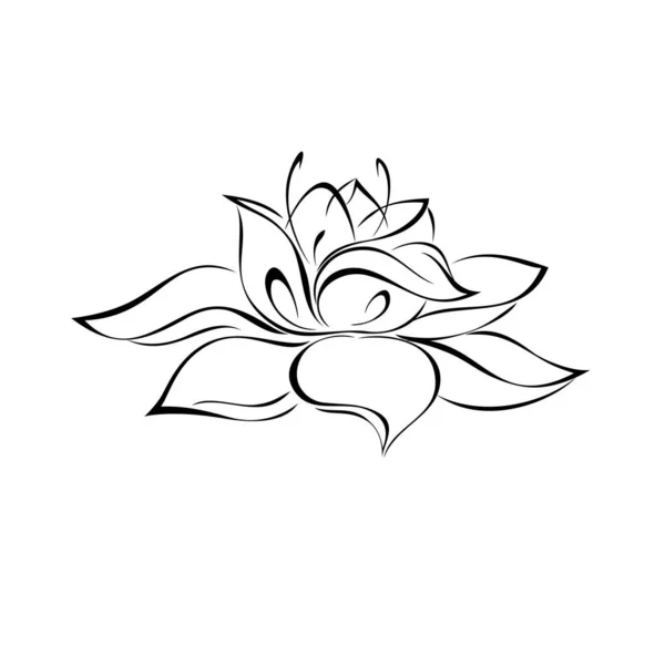 Stiliserad Full Blommande Blomma Med Stora Kronblad Utan Stam Grafisk Vektorgrafik