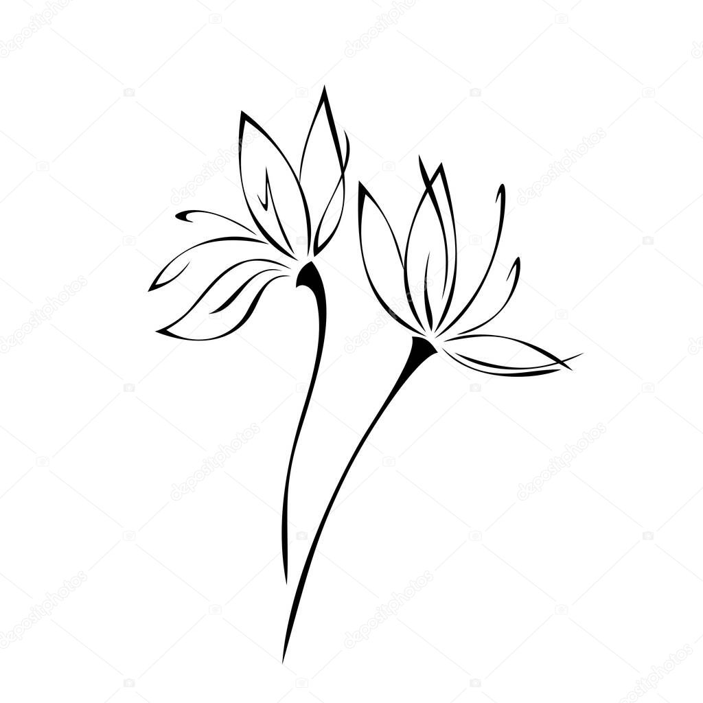 two stylized blooming flowers on stems. graphic decor