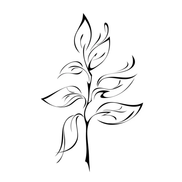 叶在白色背景上呈光滑黑线的风格化小枝 — 图库矢量图片