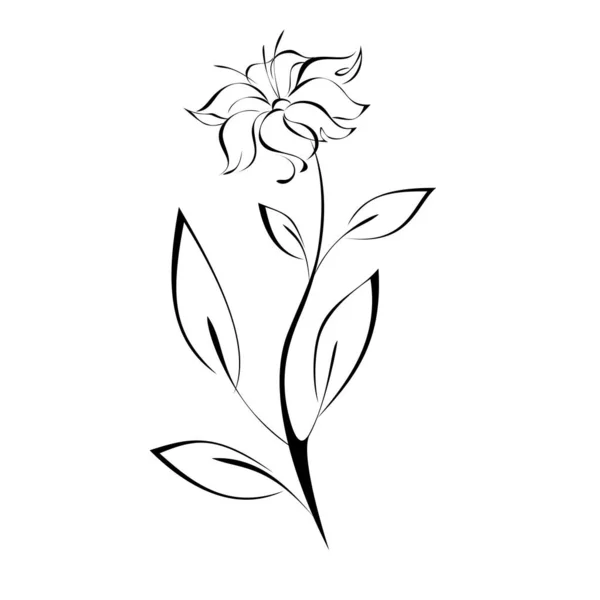 Στυλιζαρισμένο Λουλούδι Στο Στέλεχος Φύλλο Μαύρες Γραμμές Λευκό Φόντο Royalty Free Διανύσματα Αρχείου