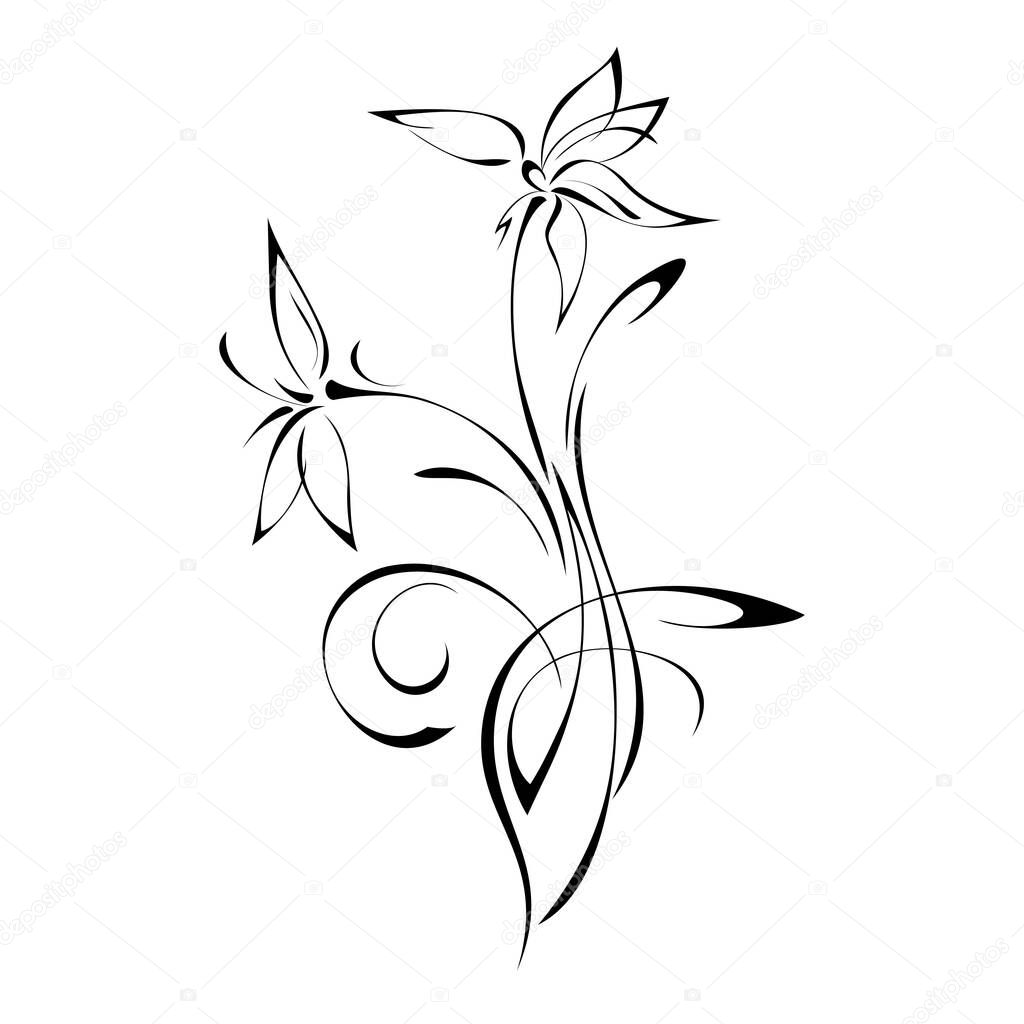 ornament in smooth black lines with leaves and curls on a white background