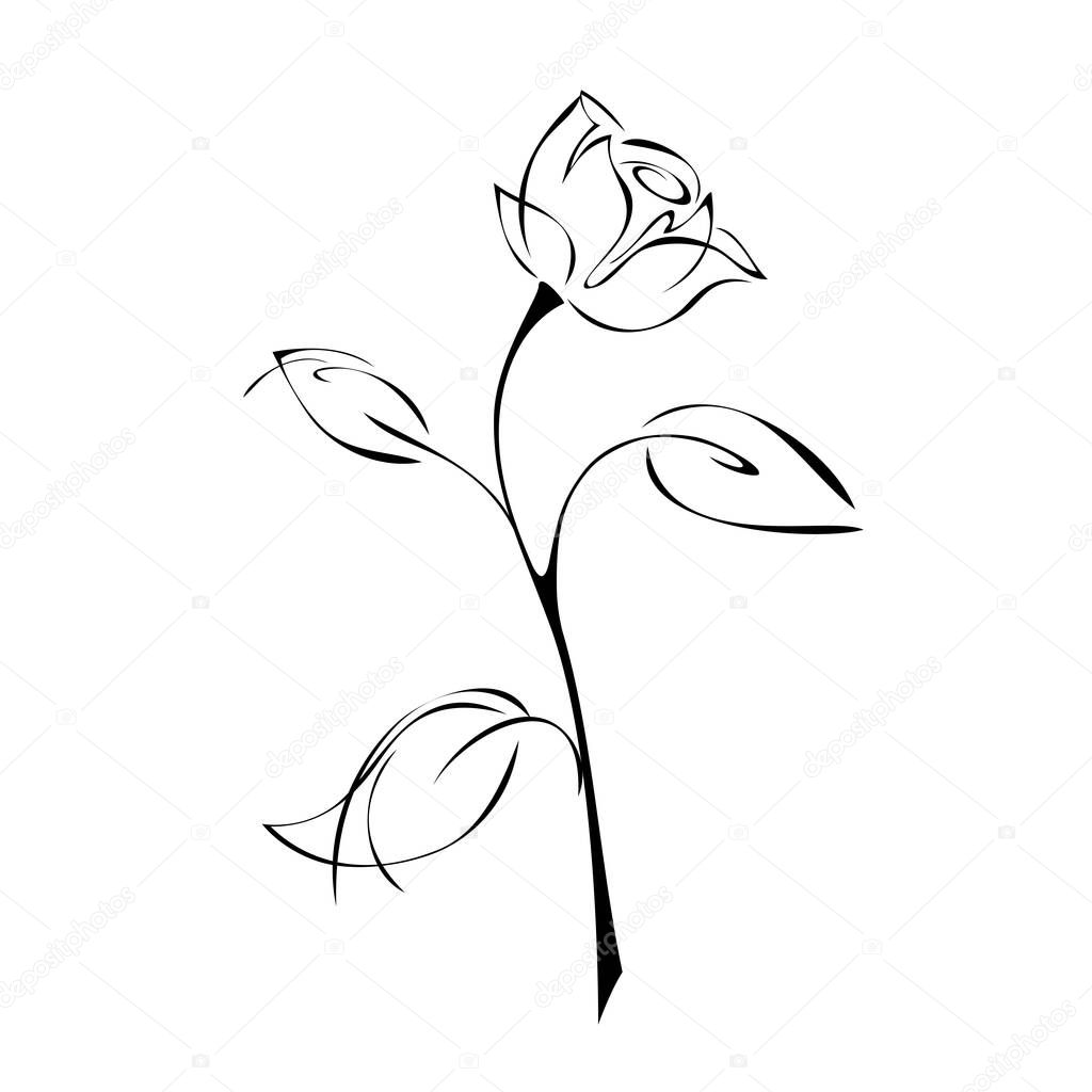 one stylized rose on a stem with leaves on a white background