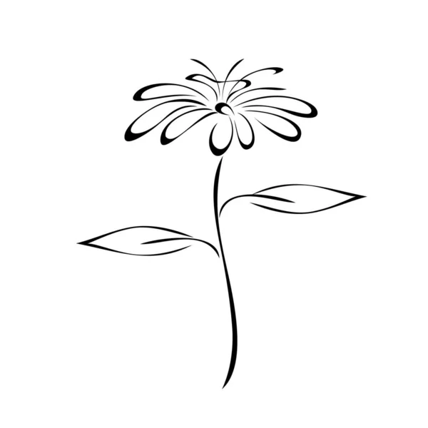 Stiliserad Blomma Stjälk Med Två Blad Svarta Linjer Vit Bakgrund Stockvektor