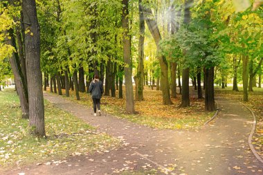 Sonbahar parkında yürüyüş. Güneş ışığı yürüyüş yolunu aydınlatır. Doğal manzara..