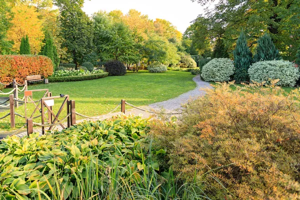 Beau Fond Des Feuilles Automne Bannière Automnale Beauté Avec Feuilles — Photo